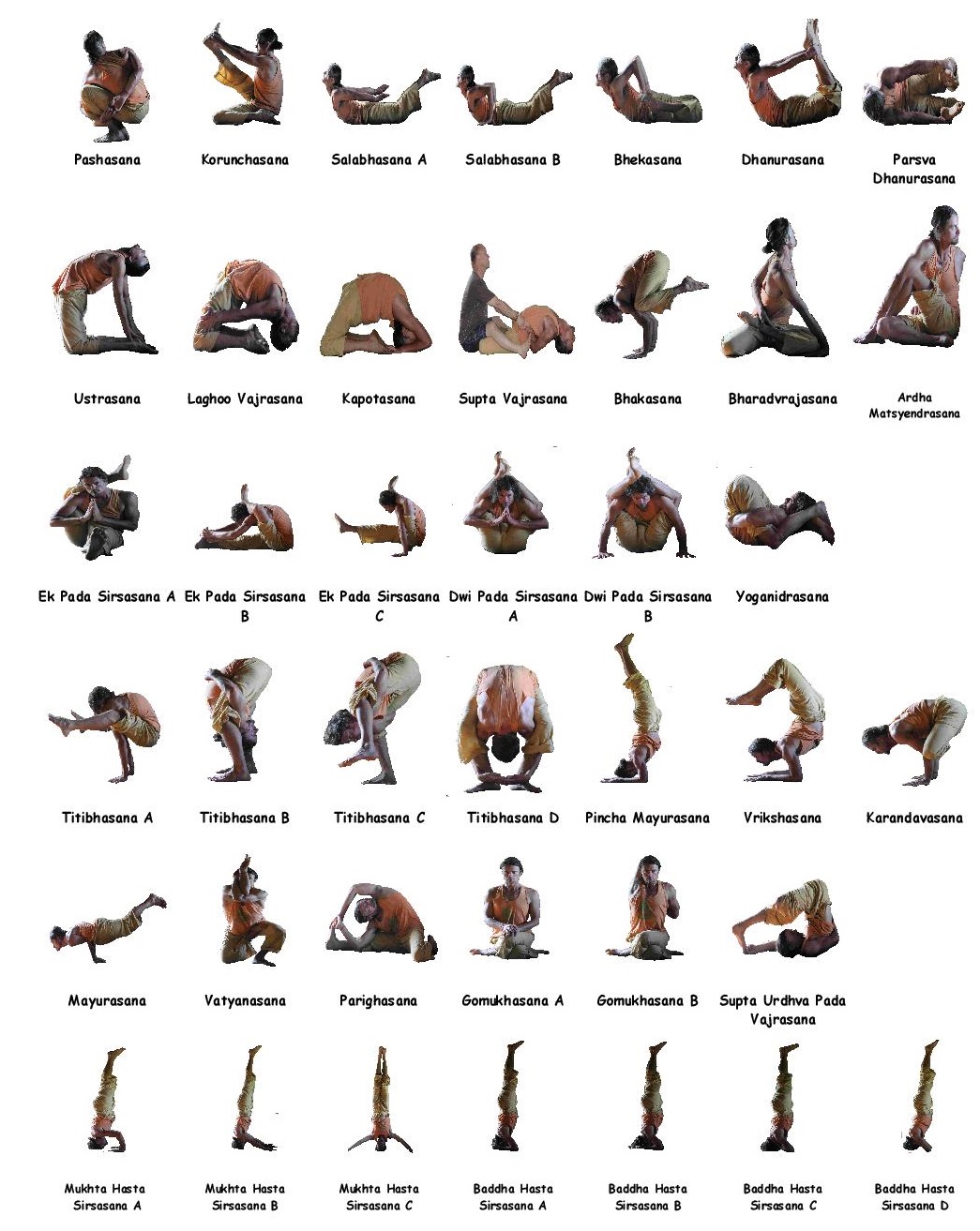 Ashtanga Intermediate Series