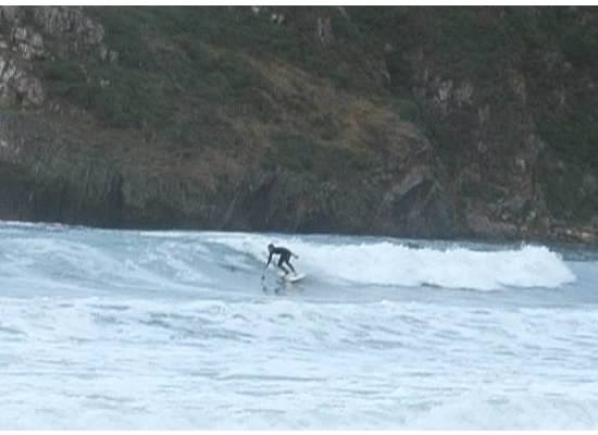 surf