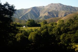 Asturias Yoga Bell Tent Glamping